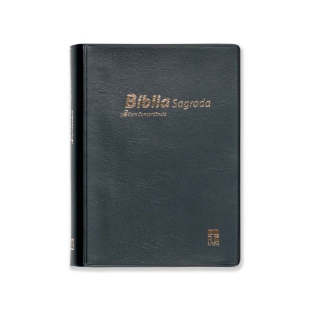 Bíblia DN42C | Preta | Capa vinil | Concordância | Letra pequena
